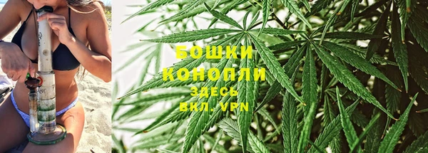 jwh Пересвет