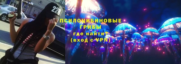 jwh Пересвет