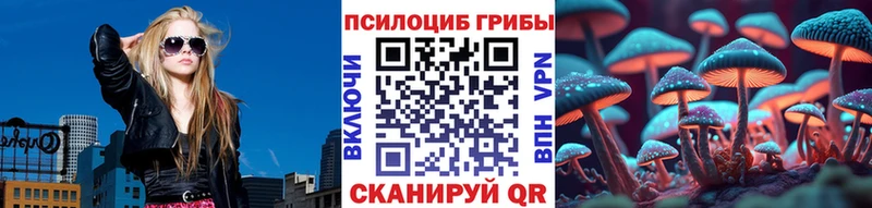 кракен вход  Вязьма  Псилоцибиновые грибы Psilocybe 