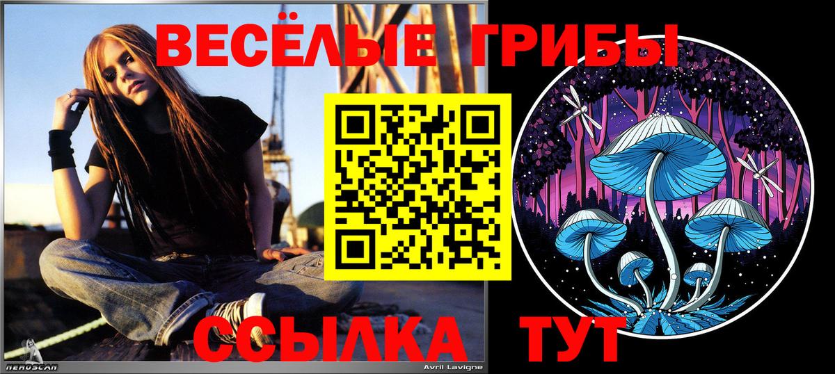 Псилоцибиновые грибы Psilocybine cubensis  Галлюциногенные грибы Cubensis  Вязьма  Вход с VPN 