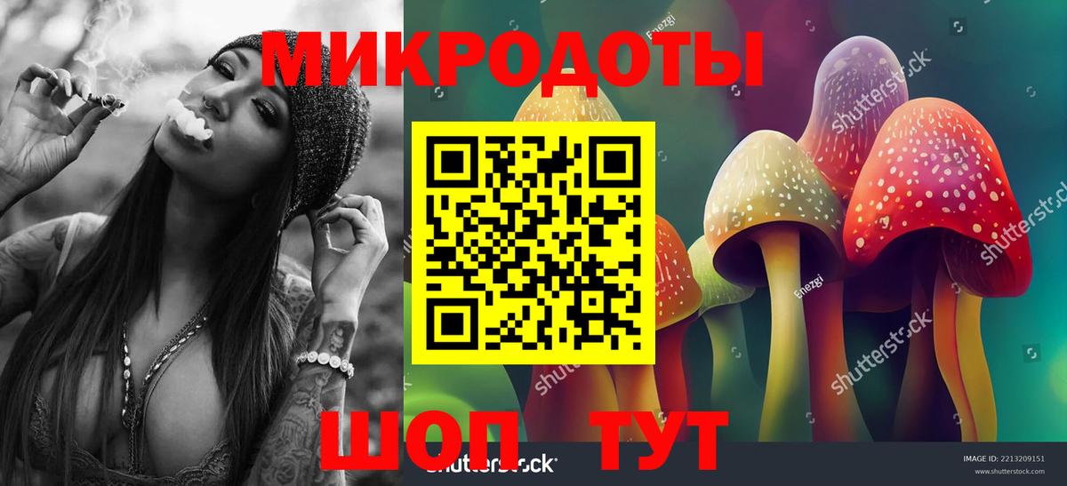 МЕФ Вязьма